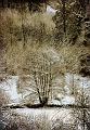 Paysage18_12_10 n04
